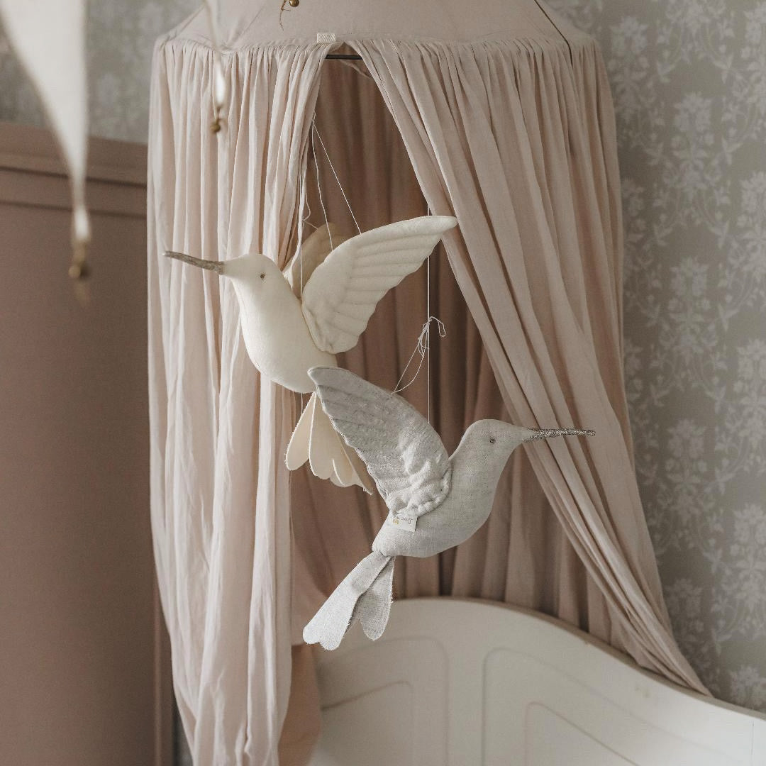 Hummingbird - Vanilla