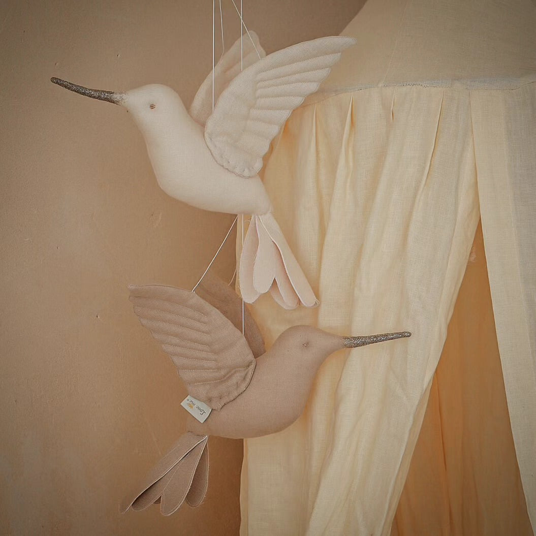Hummingbird - Vanilla